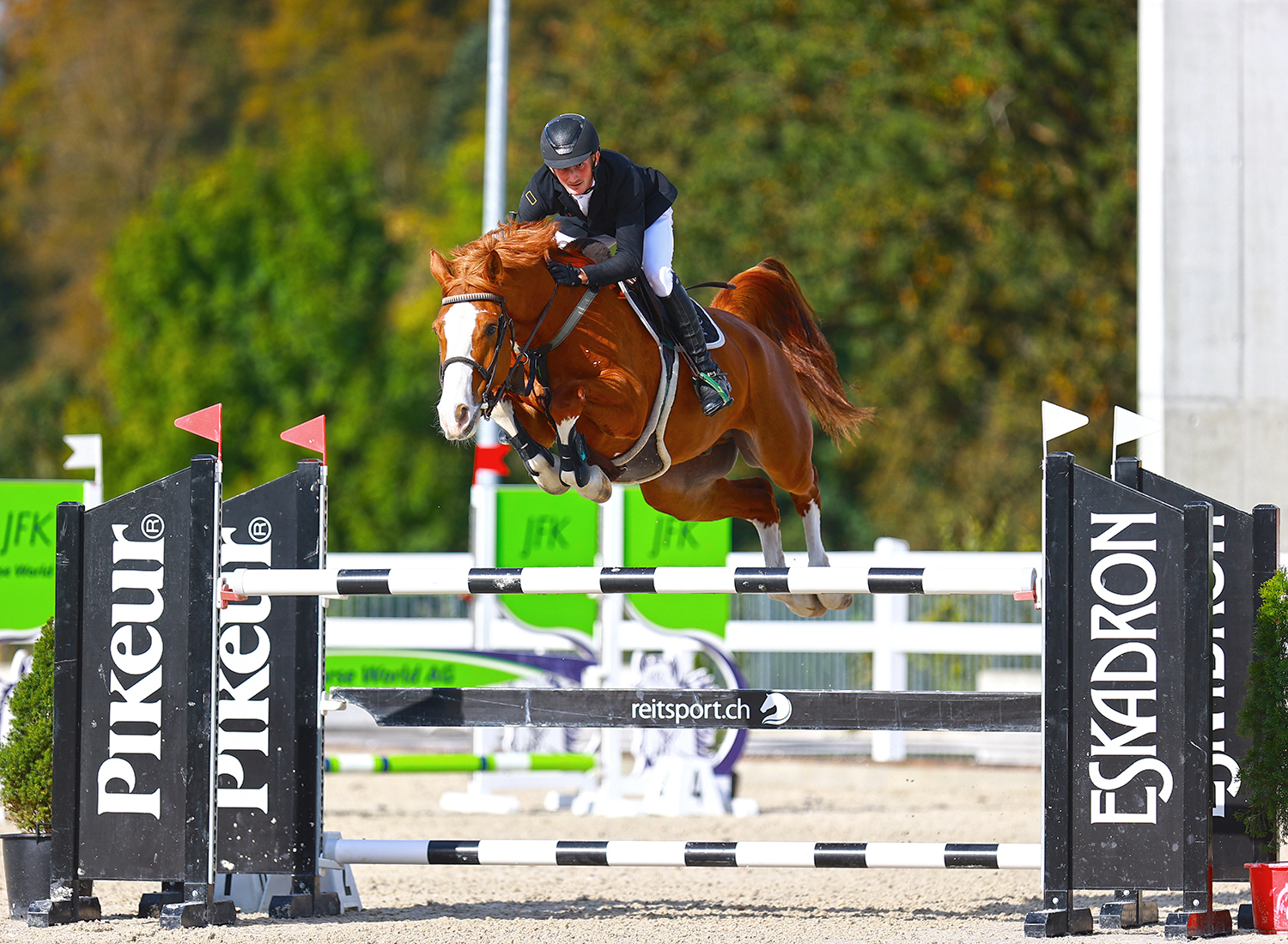 Malivi’s Flip DR Z